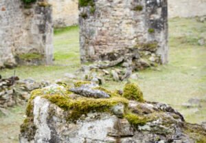 Oradour-sur-Glane